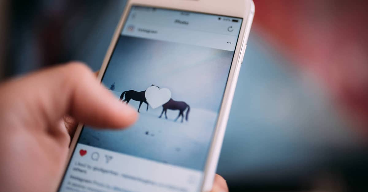 How to Grow Your Instagram Followers